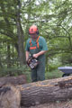 Click to see it big Ich mit Kettensäge, Impression aus dem Wald